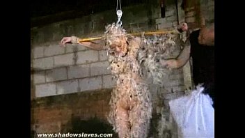 feathered asian bondage short sex video and bizarre japanese domination of tied up kumimonster 